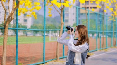 lol平台,lol平台(中国)邀你赴一场春日赏花之旅